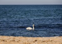 МОСВ отмени решението на РИОСВ-Бургас и поиска нова преценка за екооценка на “Алепу”