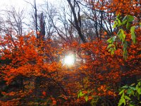 Слънчево, със сутрешни мъгли и днес