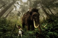 Кост от Крим пренаписва историята на неандерталците