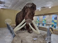 Археолози откриват праисторическо жилище от кости на мамут край Воронеж