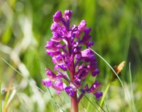 Температури от 5° до 16° в сряда