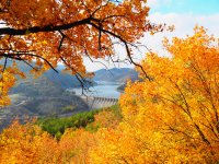 Слънчев и топъл уикенд, валежи се очакват през новата седмица