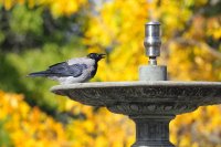 Наслади се на слънцето – дъждът идва утре