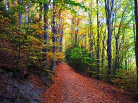 Публикуват за обществено обсъждане актуализиран план за управление на Природен парк „Витоша“