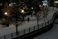 Първият сняг превърна Торонто в зимна приказка