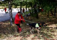 Планински спасители издирват млада жена в района на кв. "Бояна" и Витоша