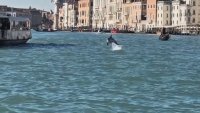 Дивият делфин Мимо - атракция във водите близо до площад "Марко" във Венеция (СНИМКИ)