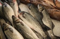 Преди Никулден: Тръгват проверки на рибните борси и магазини за риба