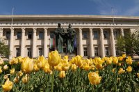 "Ние за какво работим?": 3 години заплатите в Националната библиотека не са повишавани