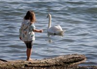 Слънчево есенно време ни очаква през следващите дни
