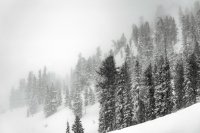 Петима чуждестранни туристи загинаха по време на снежна буря в Чили