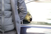 Украинският президент Зеленски пристигна в Турция