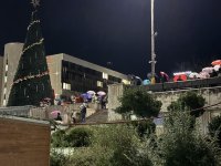 Грейна елхата в Благоевград