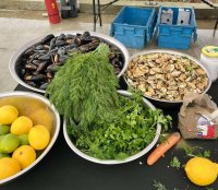 Бургас е домакин на Националния рибен фестивал