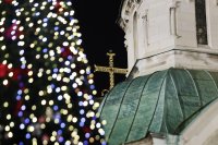 Грейна коледната елха в София (СНИМКИ и ВИДЕО)