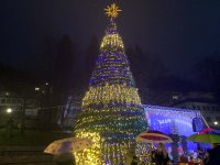 Коледната елха грейна и в Смолян