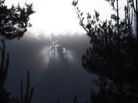 Сутринта с мъгли, следобед видимостта ще се подобрява