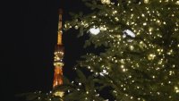 Токио посреща празниците с впечатляваща украса и хиляди коледни лампички