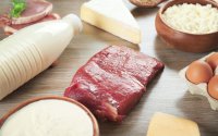 Securing Bulgarian Milk and Meat Seen as Key Challenge for Agriculture Next Year
