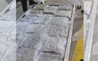 More Than 80 kg of Marijuana Seized by Customs Officers in Ruse