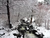 До 15&deg; днес, в неделя ще завали сняг