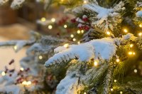 Ще вали ли сняг на Коледа?