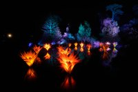 Цветове и над милион блестящи светлини в парка "Голдън гейт" в Сан Франциско (СНИМКИ)