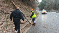 Паднали дървета и клони при бурния вятър в Старозагорска област