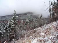 Столичната полиция издирва 22-годишен младеж от София, вчера е тръгнал за Витоша