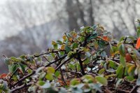 Времето в петък и през уикенда