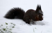 Dangerous Weather: Rain, Snow and Gale-Force Winds Today