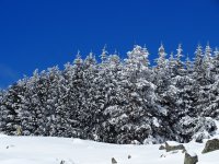 Пътищата към Витоша са затворени