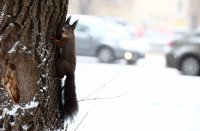 Freezing Conditions Grip Bulgaria, Icy Roads Send Dozens to Hospital