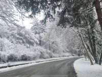 АПИ: 424 машини обработват пътищата в страната