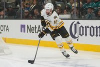 Павел Заха с първи хеттрик в кариерата си при разгром на Бостън Бруинс