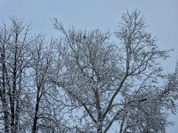 През 2025 г. почти няма месец без екстремни метеорологични явления, обобщават от НИМХ