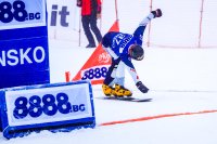 Тервел Замфиров и Радослав Янков се класираха за финалите в Банско