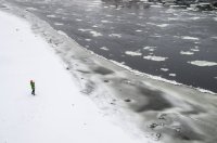 Ледени блокове блокират корабоплаването по река Елба в Северна Германия