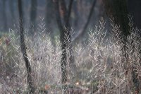 До -12&deg;: Жълт код за студено време