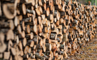 Расте търсенето на дърва за огрев в Югозападна България - влияе ли това на цената?