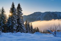 По-меко време, но с валежи и поледици