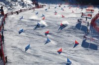 Гледайте по БНТ 3 в събота паралелния гигантски слалом в Рогла