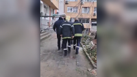 Спасиха бедстващо коте, зазидано в саниран блок в Бургас