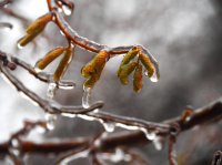 Валежите ще спрат, но само за ден