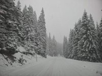 Обилен сняг вали в Родопите и натрупва нова снежна покривка (ВИДЕО)