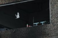 Между "продуктивни" и "не лесни": Докъде стигнаха тристранните преговори за Украйна?