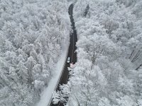 Заради сняг и поледици: Летището в Берлин отмени всички излитащи полети