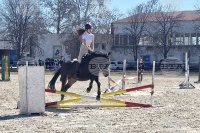 Ученици ще тренират конен спорт в базата на Тракийския университет