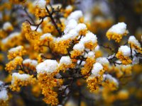 След по-топлото време до края на седмицата идва ново застудяване