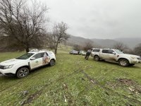 Отравяне с антифриз е най-вероятната причина за смъртта на лешоядите в Котленско